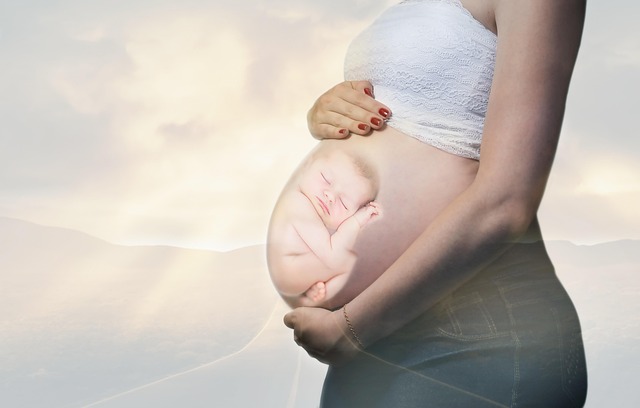 胚胎在子宫中如何发育
