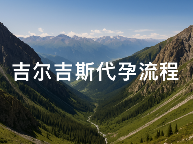 吉尔吉斯代孕流程