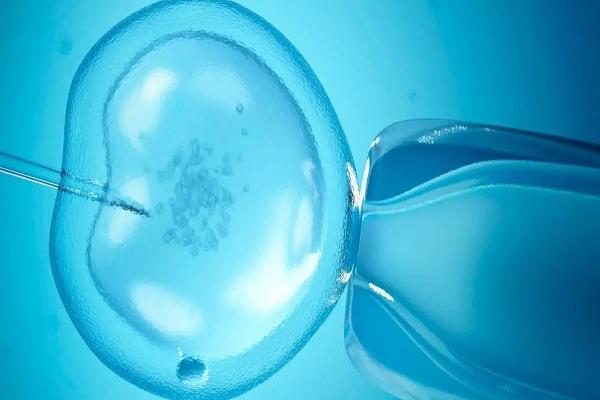 日本试管婴儿技术成熟