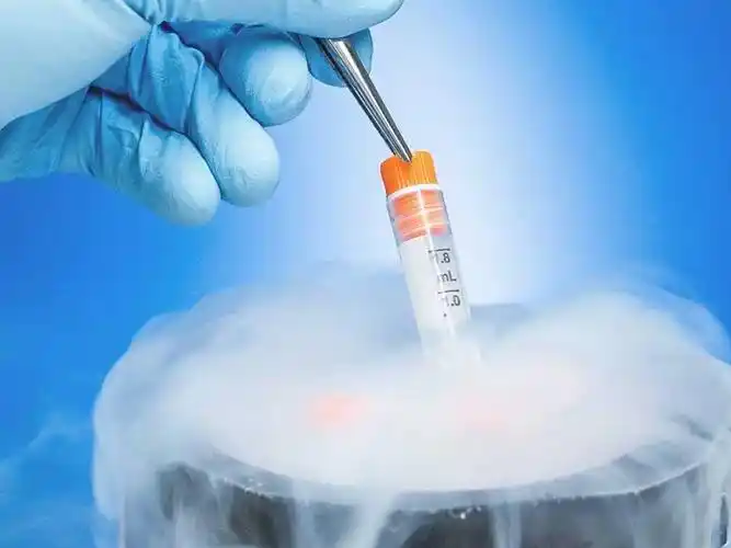 代孕中使用冷冻胚胎的优缺点医学评估