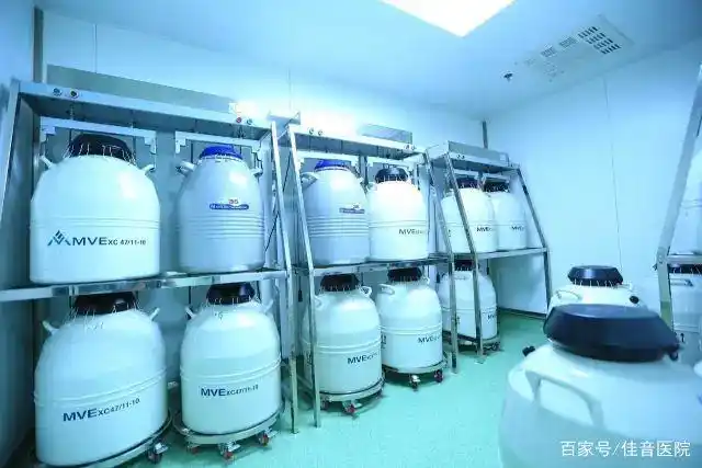 冷冻胚胎 vs 新鲜胚胎